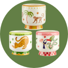 Acc&eacute;der &agrave; la collection Tropical Indie