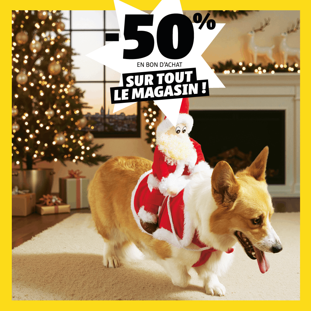 Animalerie et extérieur