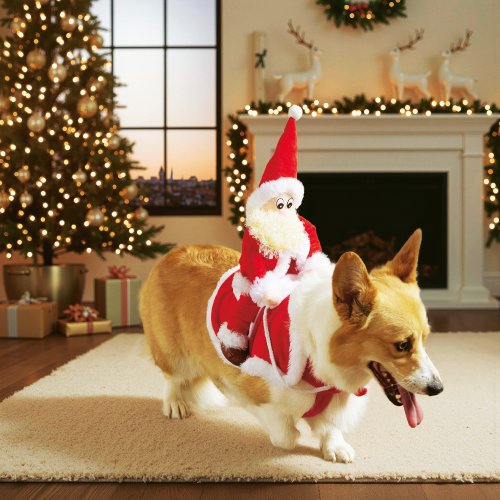 Animalerie et extérieur