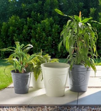 Acc&eacute;der au rayon Jardin