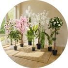 Acc&eacute;der au rayon d&eacute;co plantes artificielles