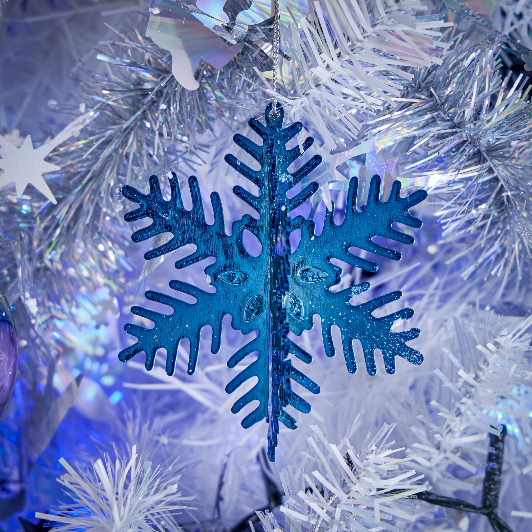 No&euml;l