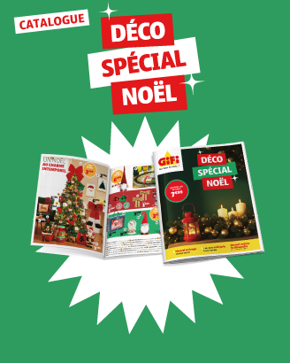 Catalogue Déco spécial Noël