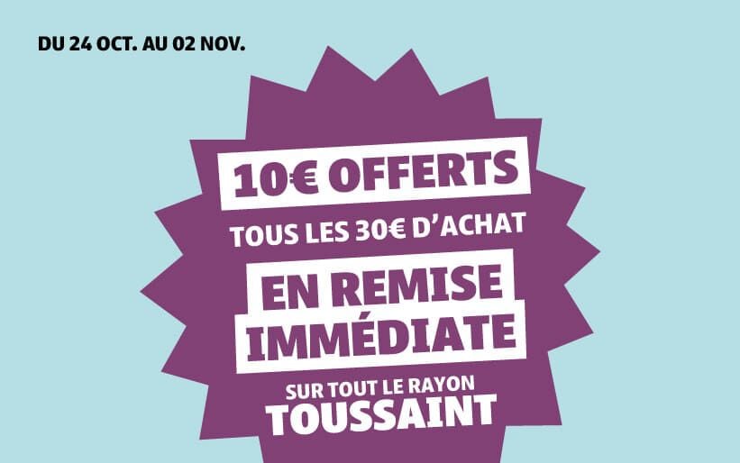 Op&eacute;ration Toussaint