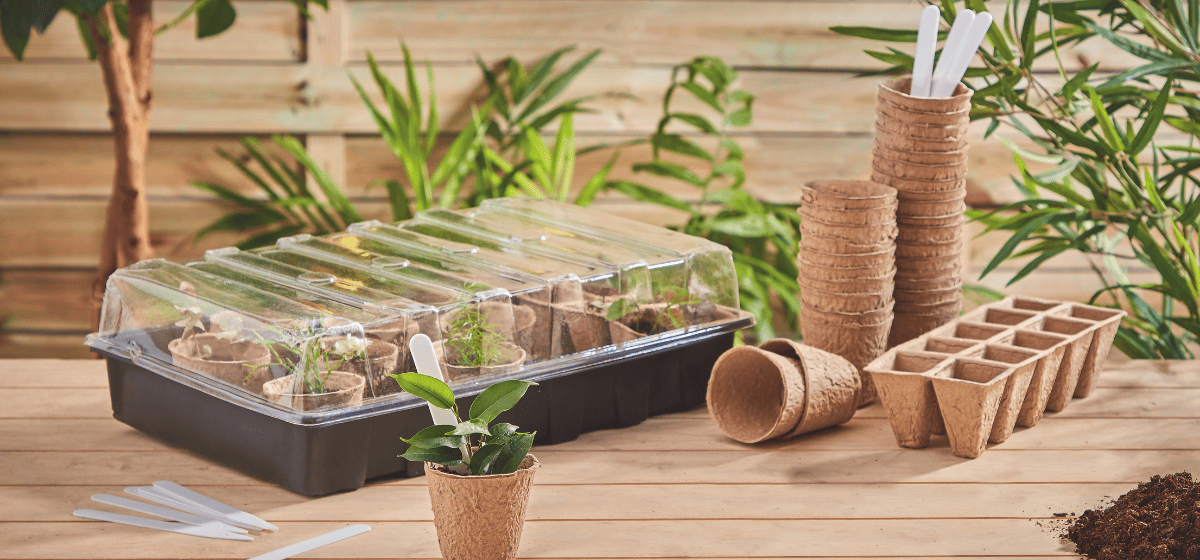 image avec des semis 