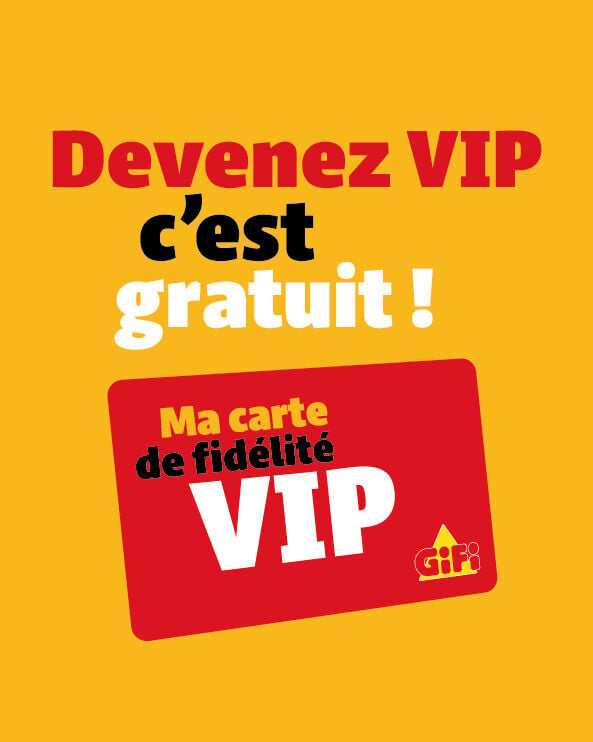programme VIP