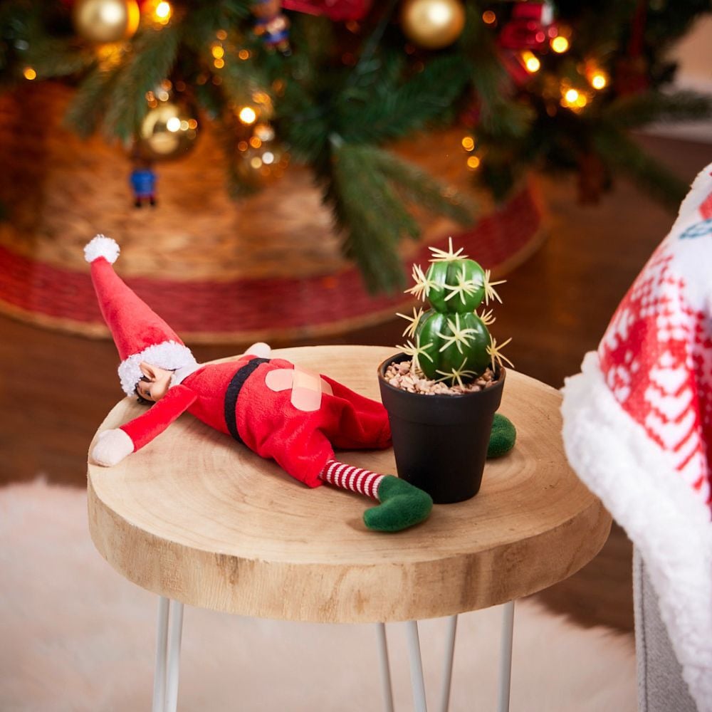 Lutin piqué au fesses par un cactus