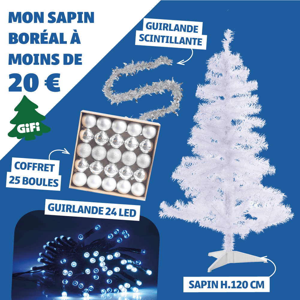 Sapin moins 20€ boréal