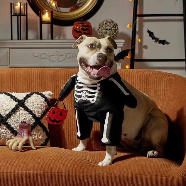 Déguisement pour chien squelette noir et blanc L/XL