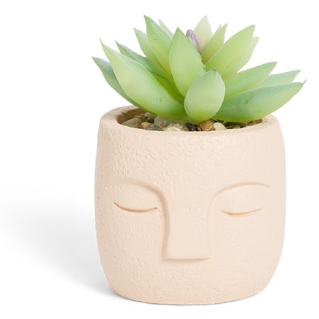 Plante artificielle pot ciment forme visage Ø6,5xH9cm (plusieurs modèles)