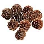 Pomme de pin à poser effet neige blanche x10