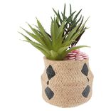 Plante artificielle dans pot en forme de panier en céramique