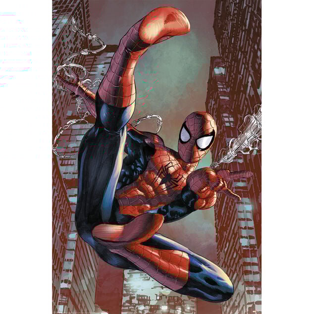 Poster Spider-Man - Web Sling