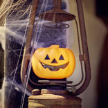 Mini citrouille noir argent ou orange