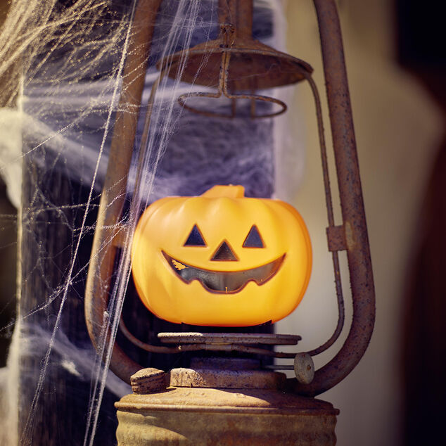 Mini citrouille noir argent ou orange