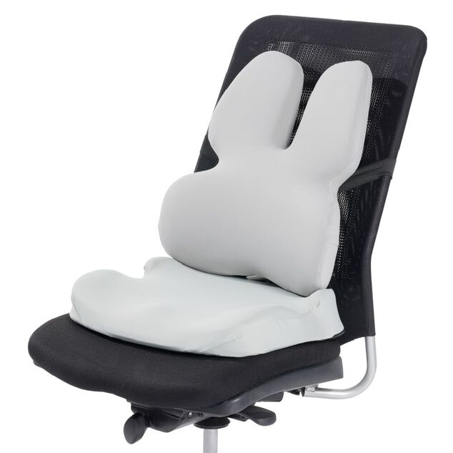 Coussin si&egrave;ge de bureau m&eacute;moire de forme d&eacute;houssable 44x39x&eacute;p10cm