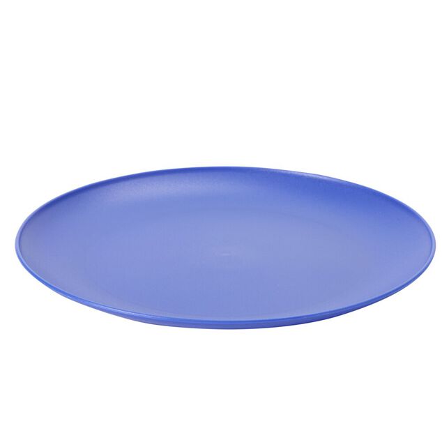 Assiette plate ronde plastique &Oslash;23,5cm (3 mod&egrave;les)
