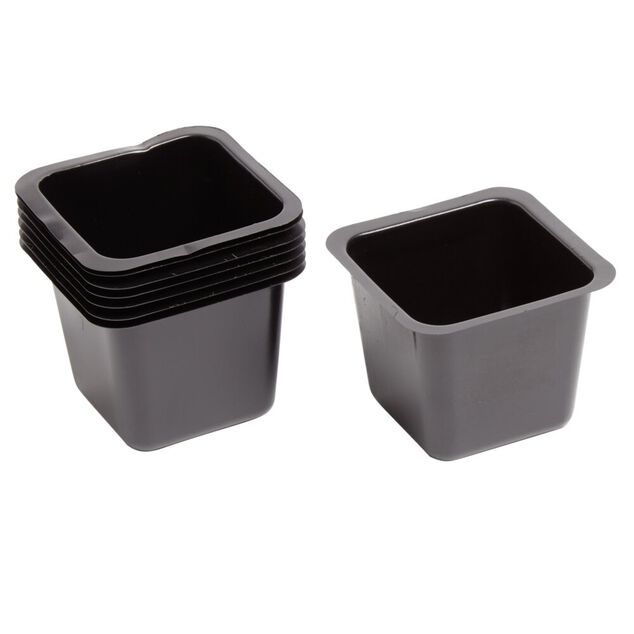 Pot carr&eacute; plastique noir pour semis x8