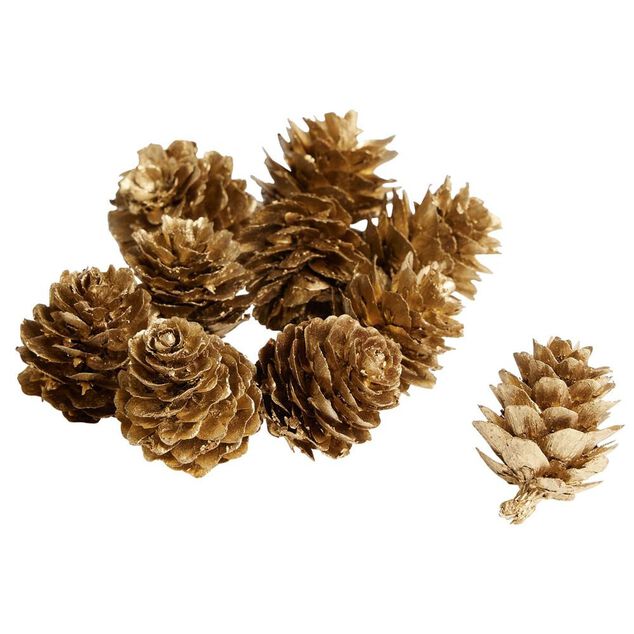 Pomme de pin &agrave; poser effet neige dor&eacute;e x10