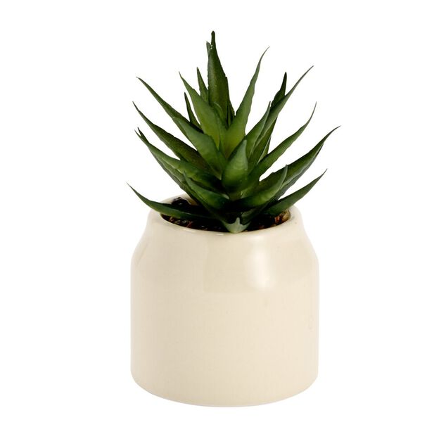 Plante grasse artificielle dans pot dolomite uni &Oslash;6xH8cm (4 mod&egrave;les)