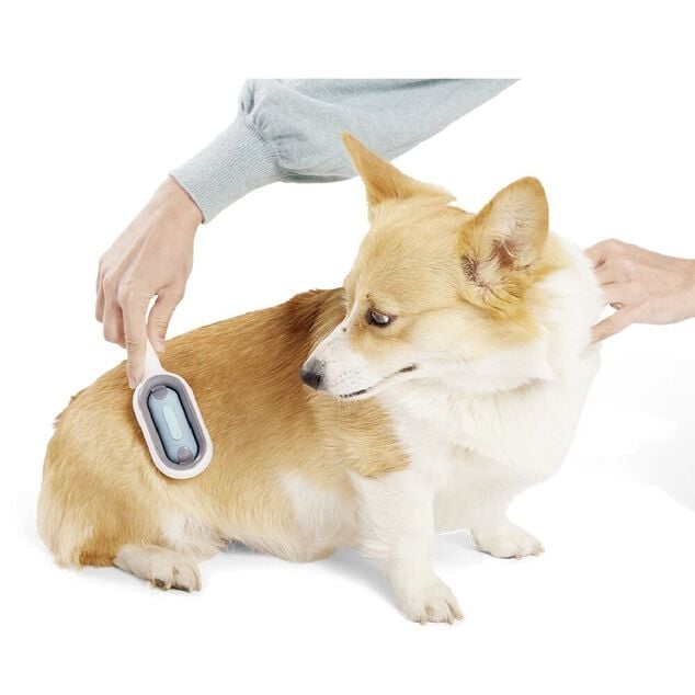 Brosse animal attrape poils avec r&eacute;servoir d'eau