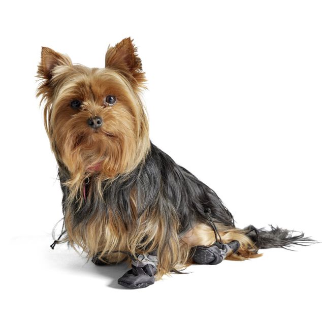 Chaussures pour animaux x4 Ø3,5x4,5cm (3 modèles)