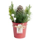 D&eacute;coration branche de pin dans pot rouge &Oslash;8xH10cm