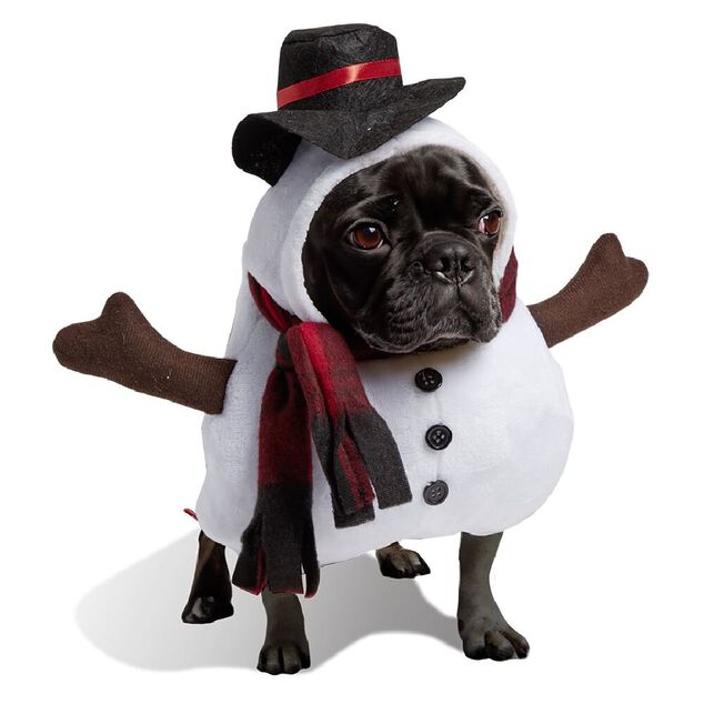 Déguisement bonhomme de neige pour chien