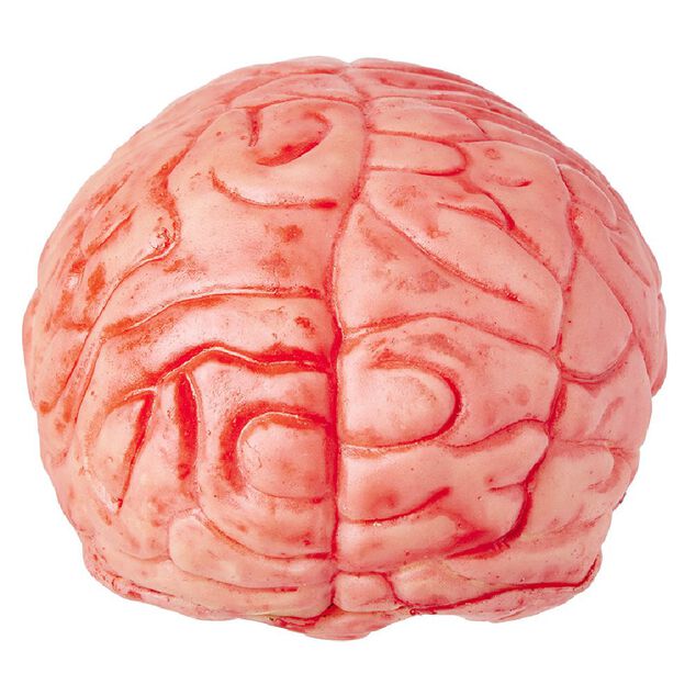 Faux cerveau sanglant en plastique