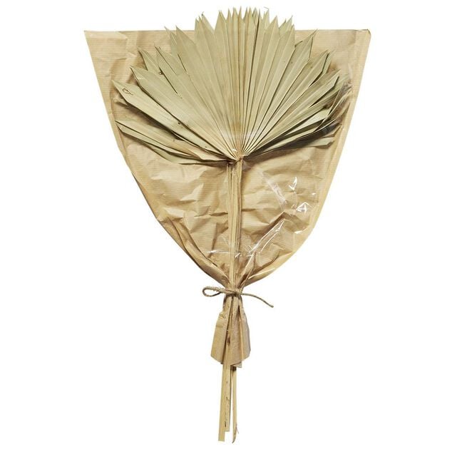 Feuille de palmier s&eacute;ch&eacute;e - 3 branches H50 cm