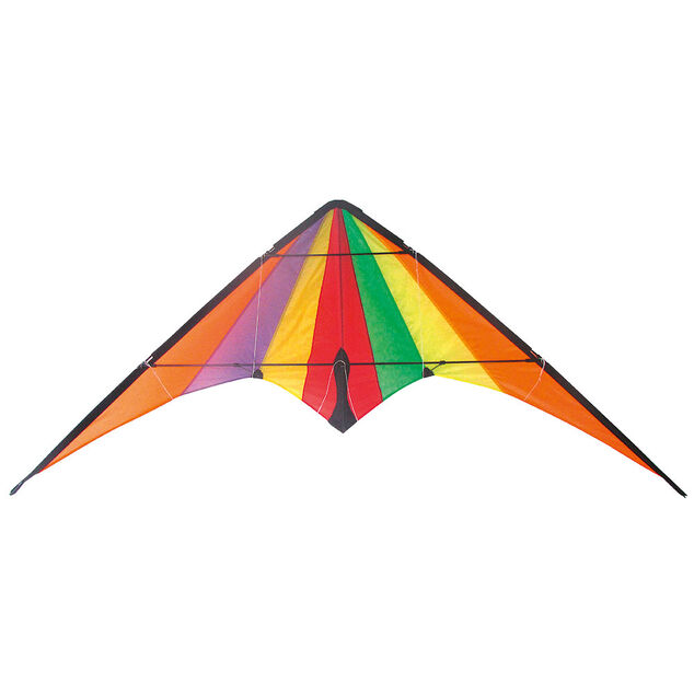 Cerf volant delta multicolore