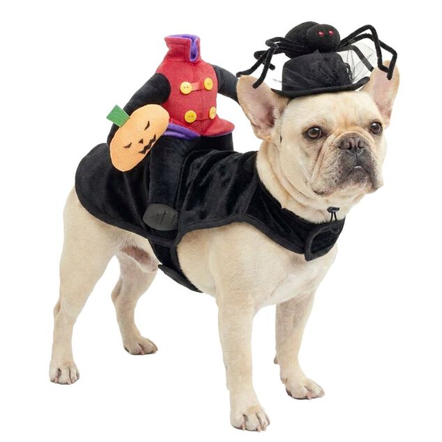 Chapeau pour animal déguisement Halloween araignée noir Ø13,5xH11,5cm