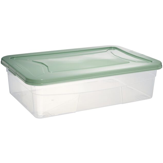 Box dessous de lit transparent et vert 30L