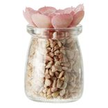 Plante en pot avec cailloux Ø5,5 cm