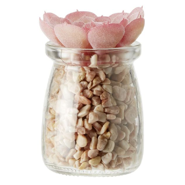 Plante en pot avec cailloux Ø5,5 cm