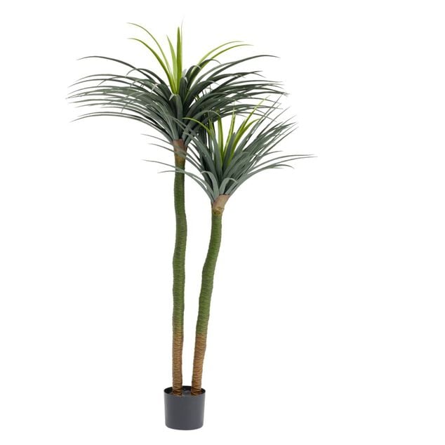 Yucca artificiel H170cm