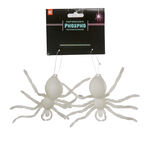 Araign&eacute;e phosphorescente x2