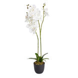 Fleurs artificielles en pot orchid&eacute;e blanche &Oslash;11xH50cm