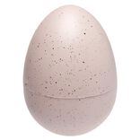 oeuf de dinosaure magique