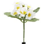 Piquet primevères artificielles 15 têtes H9 cm blanc
