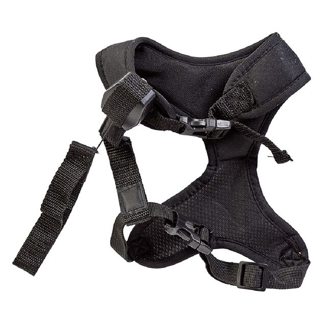 Harnais chien laisse int&eacute;gr&eacute;e