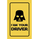 Parfum d'ambiance pour voiture senteur forêt