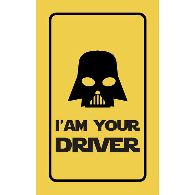 Parfum d'ambiance pour voiture senteur forêt