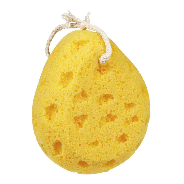 &Eacute;ponge pour le corps bain douche