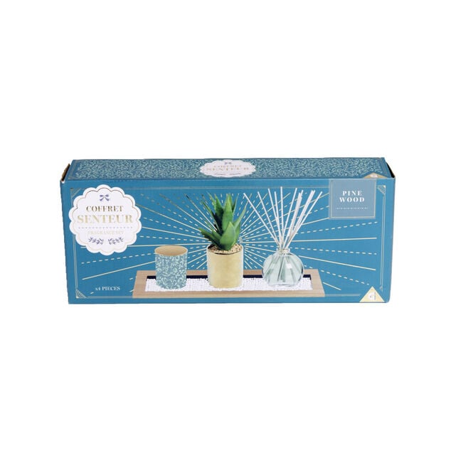Coffret senteur bougie/plateau/diffuseur/plante artificielle