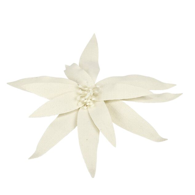 Fleur de No&euml;l velours blanche &agrave; clipser L25cm