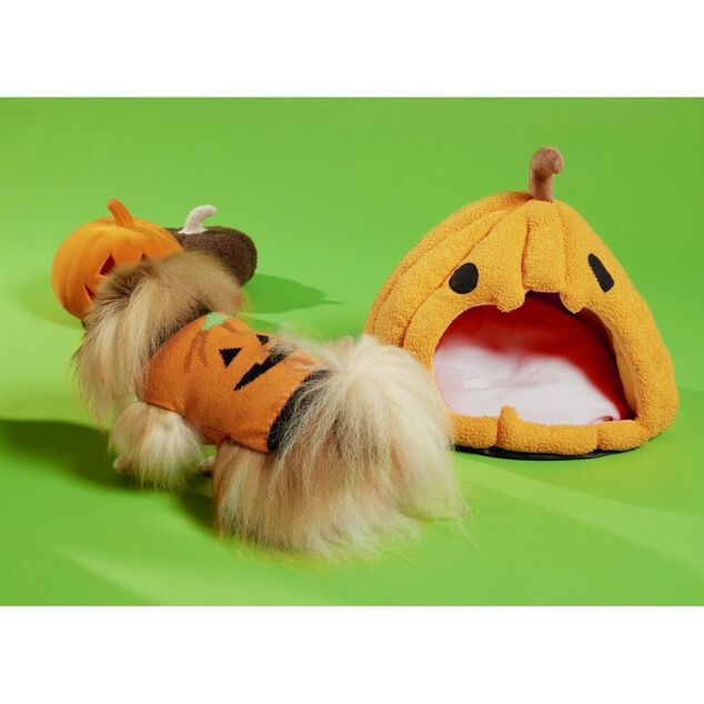 D&eacute;guisement Halloween pull motif citrouille pour chien