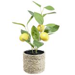 Citronnier artificiel dans pot tress&eacute; beige &Oslash;20xH31cm