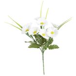 Bouquet de marguerites