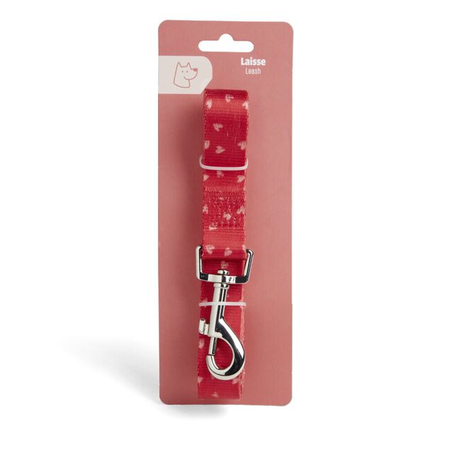 Laisse pour chien 120cm bleu